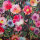 Winterjersey "DIGI" Druck Blumen