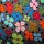 Jerseystoffe bedruckt Blumen, ÖkoTex 03 graubraun