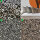 Canvas Digital Animal